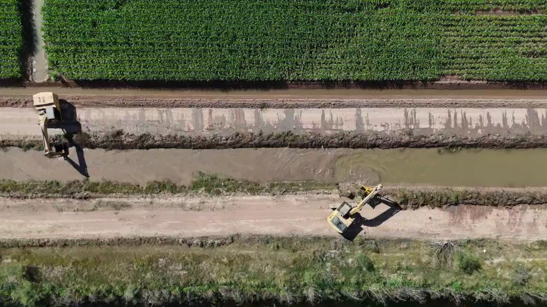 Excavadora CAT limpiando el bordo de un canal de riego, 17 de enero de 2026.