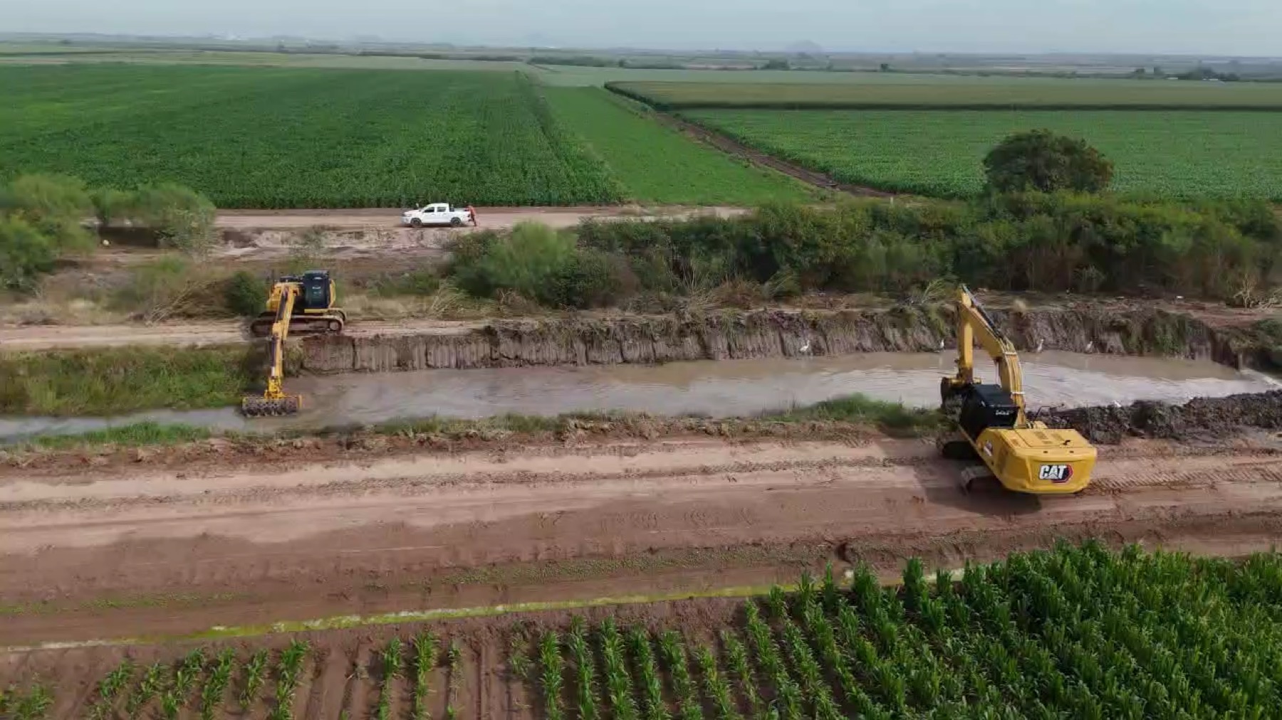 Camioneta de supervisión y excavadora trabajando sobre canal lateral entre parcelas de cultivo, 27 de enero de 2026.